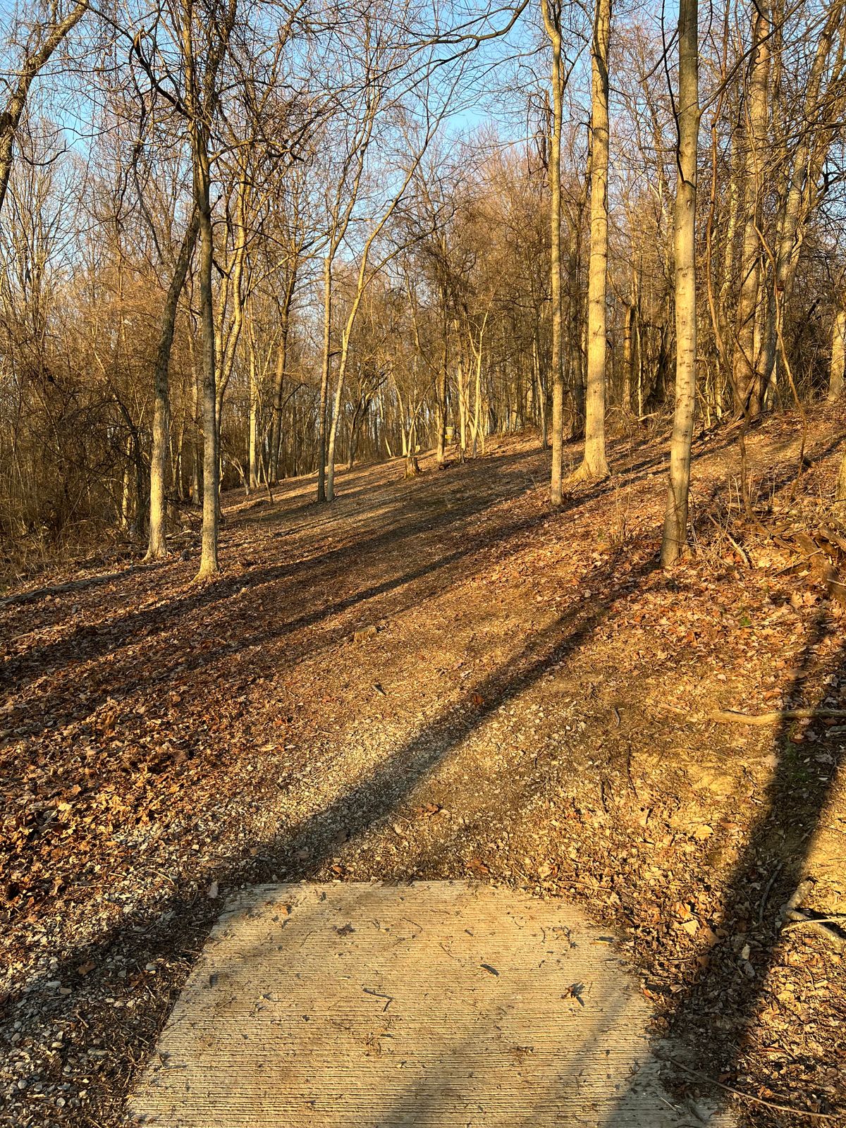 Hole 14 - Whites