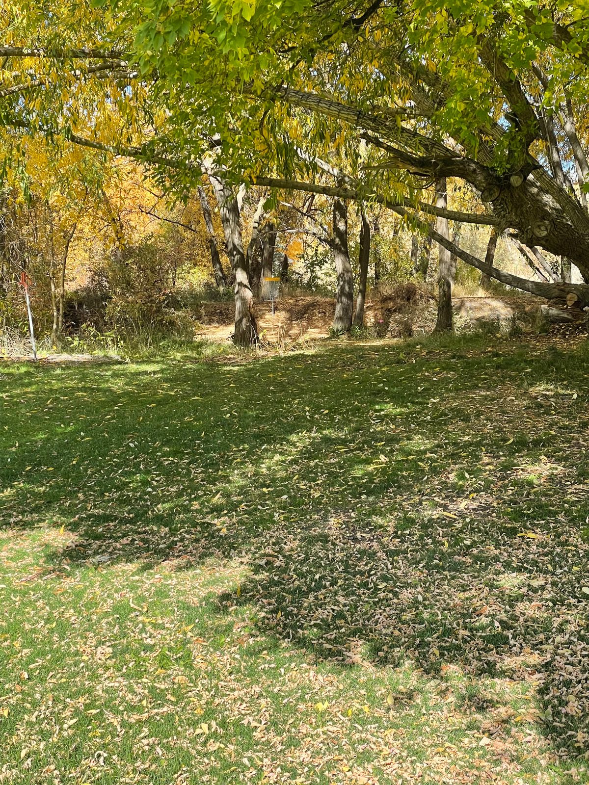 Hole 1 Eagle Park