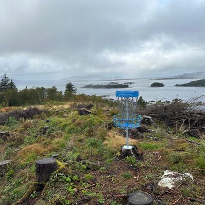 Utsikten fra kurv på hull 2