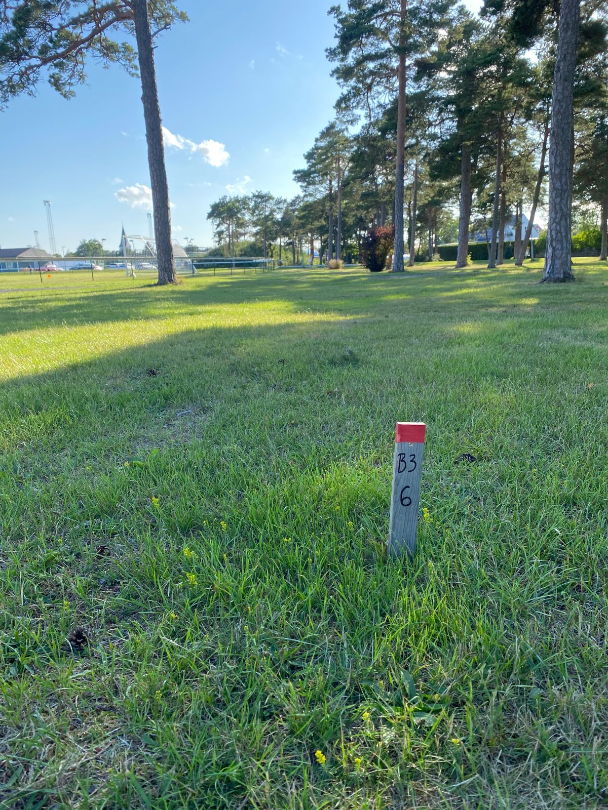 Tee 6