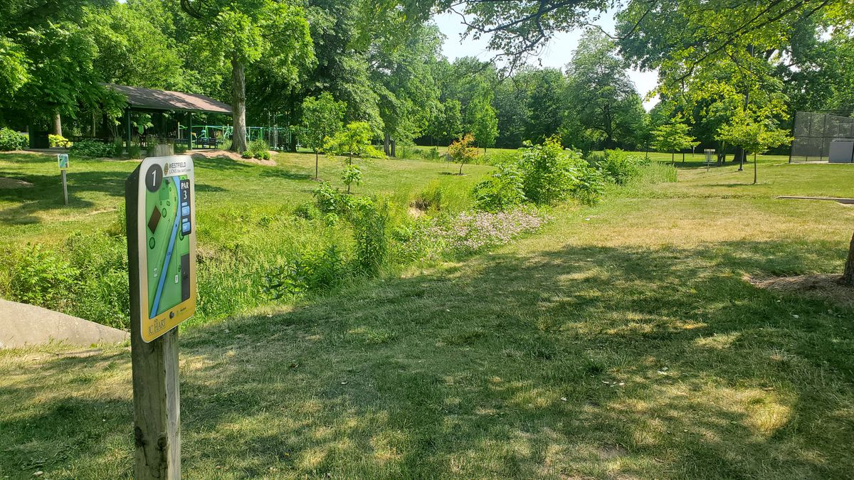 Hole #1