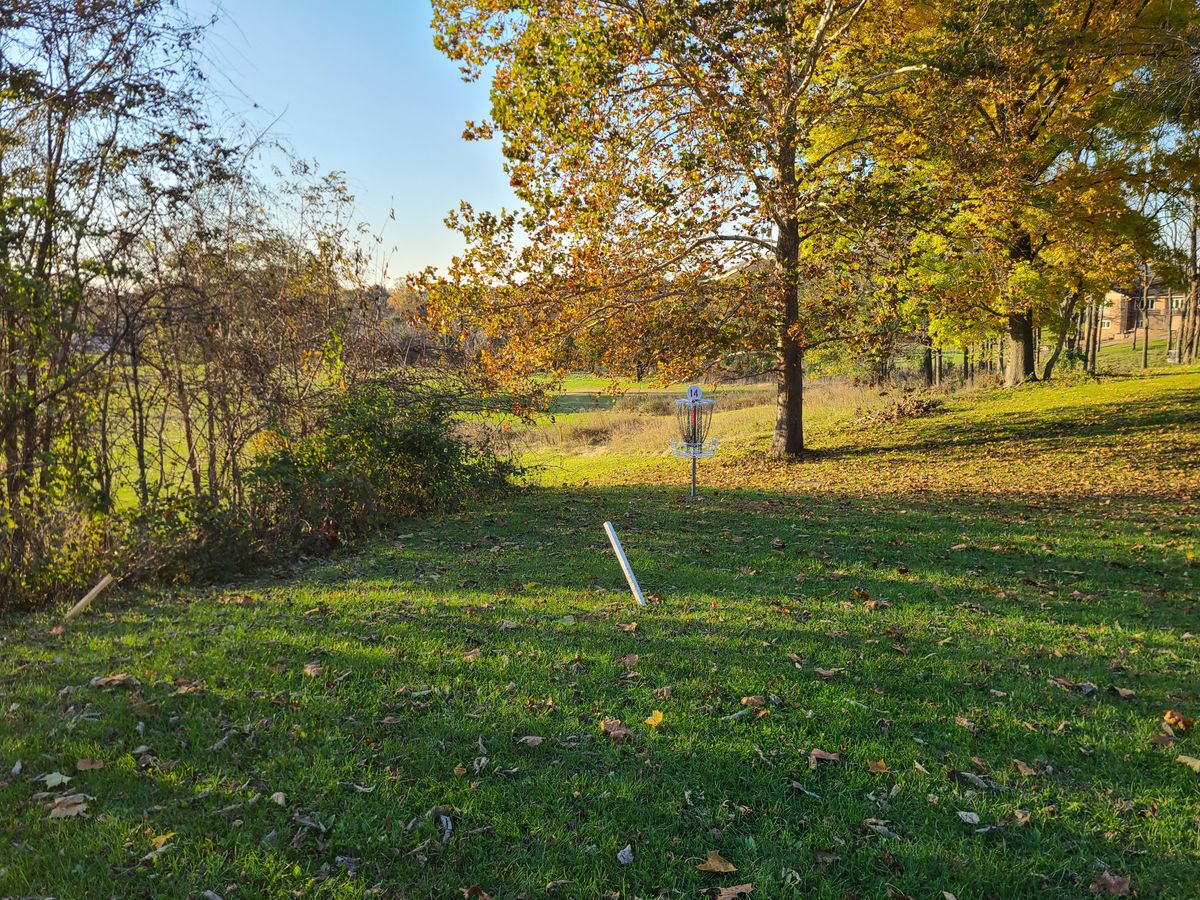 #14 green