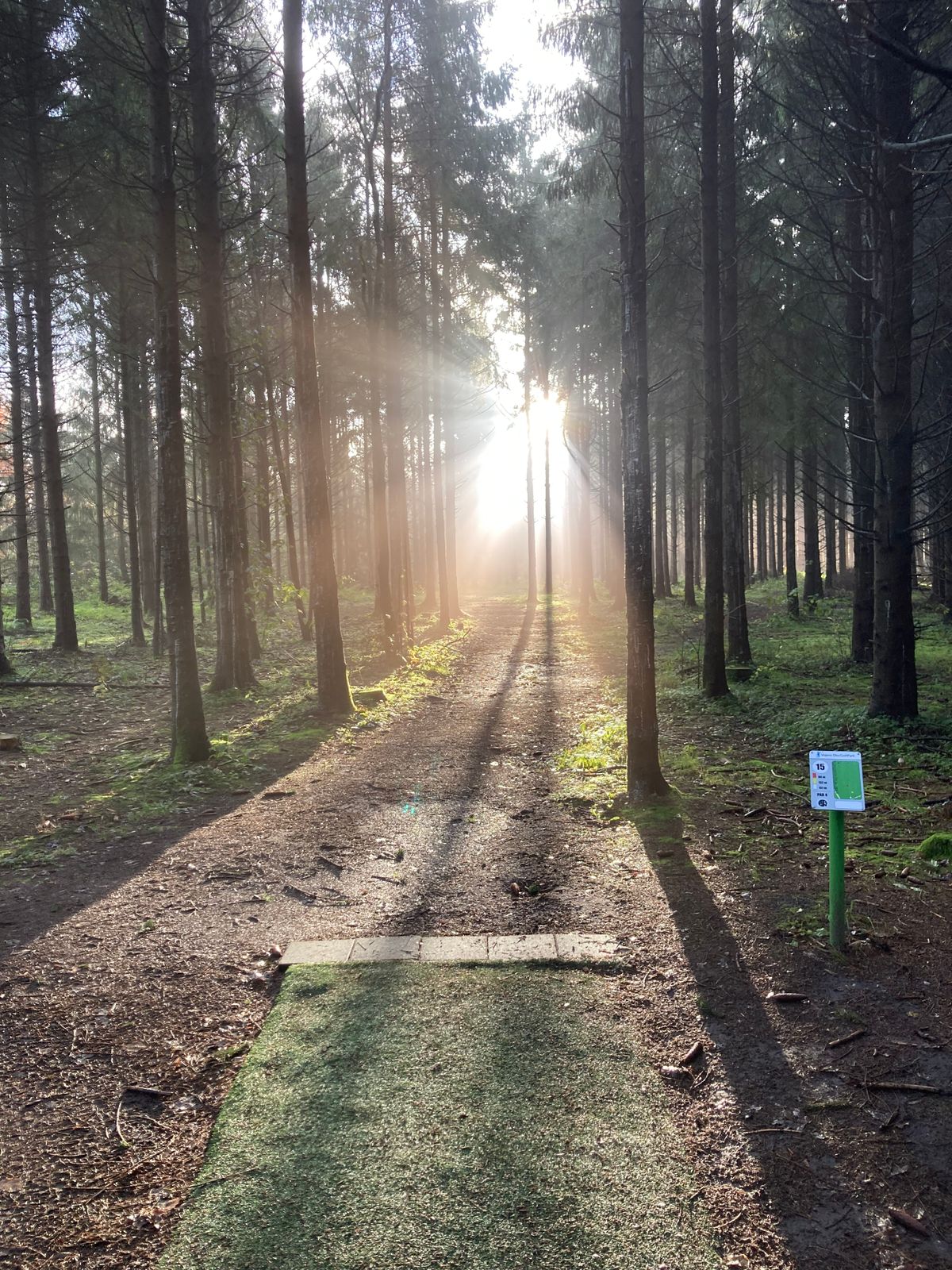 Sunrise Hole 15. 11/11 2023