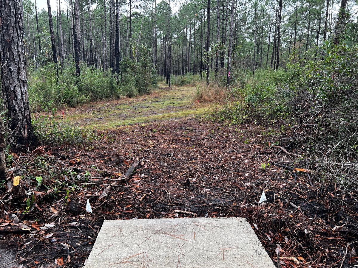 Hole 4 - White