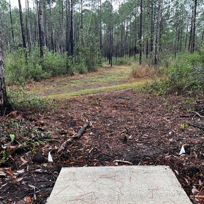 Hole 4 - White