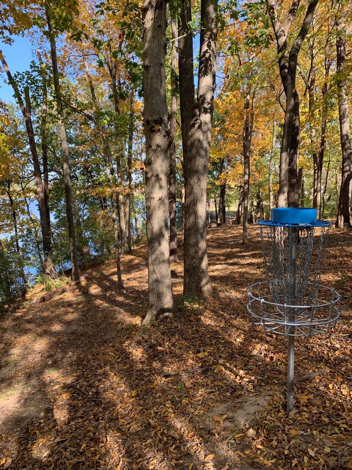 View from behind 13 basket looking back to tee pad. 