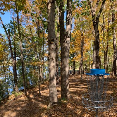 View from behind 13 basket looking back to tee pad. 