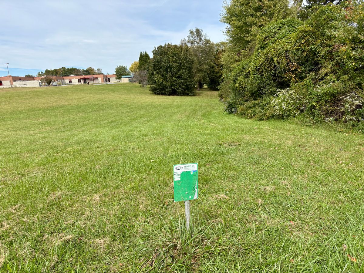 Hole 14 tee