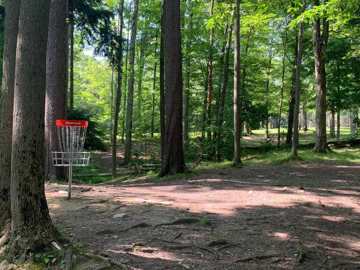 Hole 7 short position