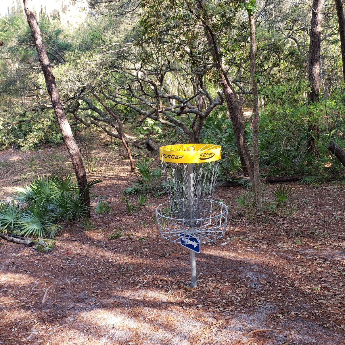 Great course.  Mainly wooded w/ a few open holes.
