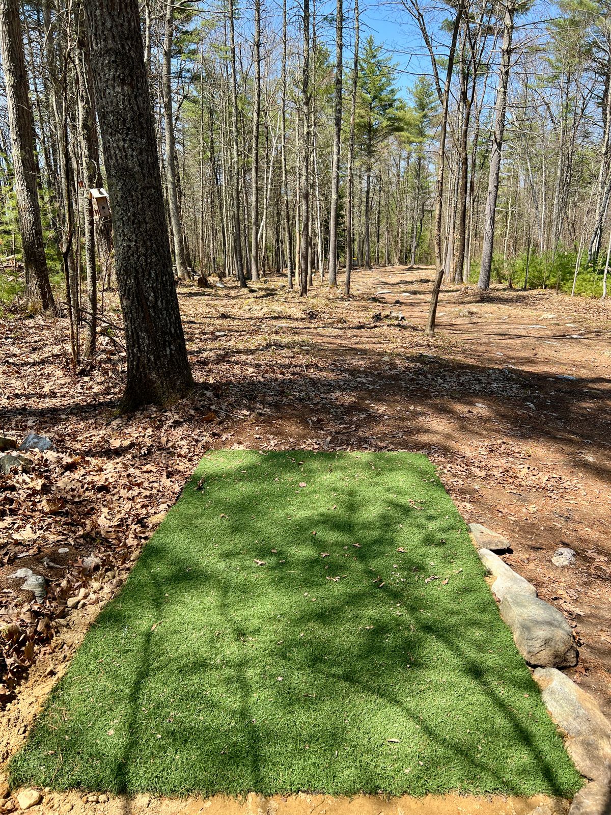 Tee Box Hole #3