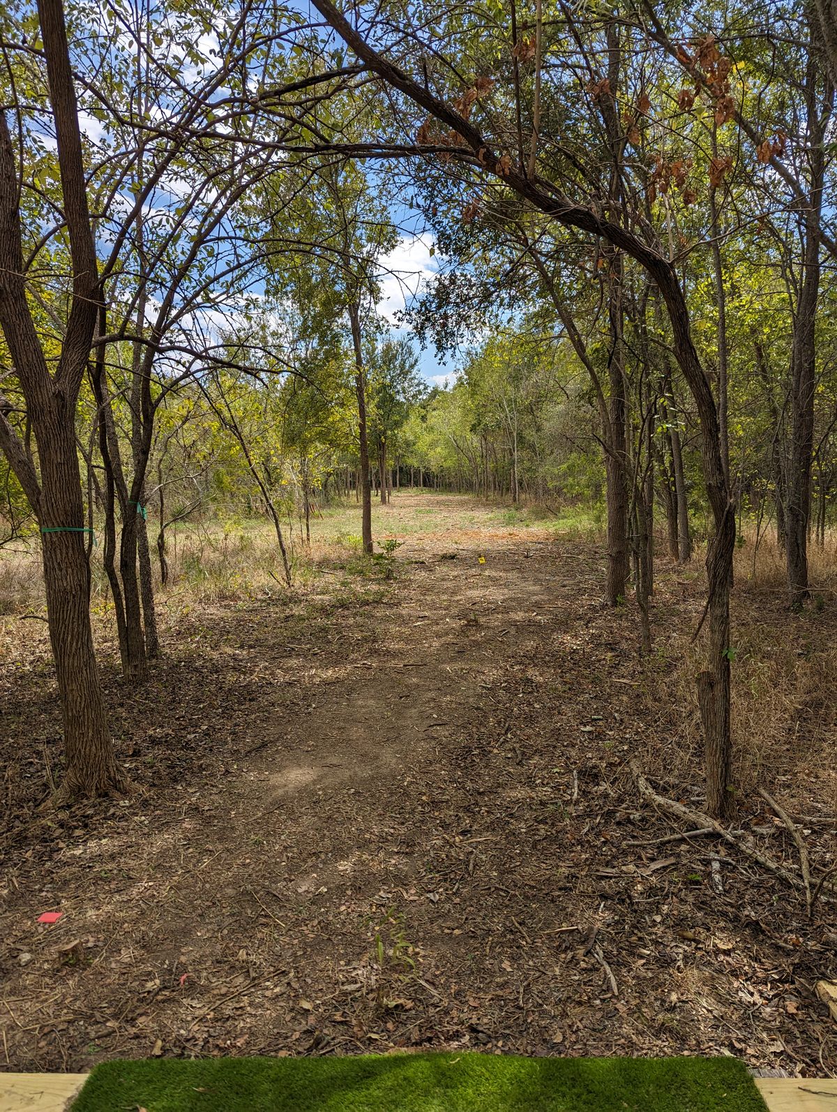 Hole 13 Tee