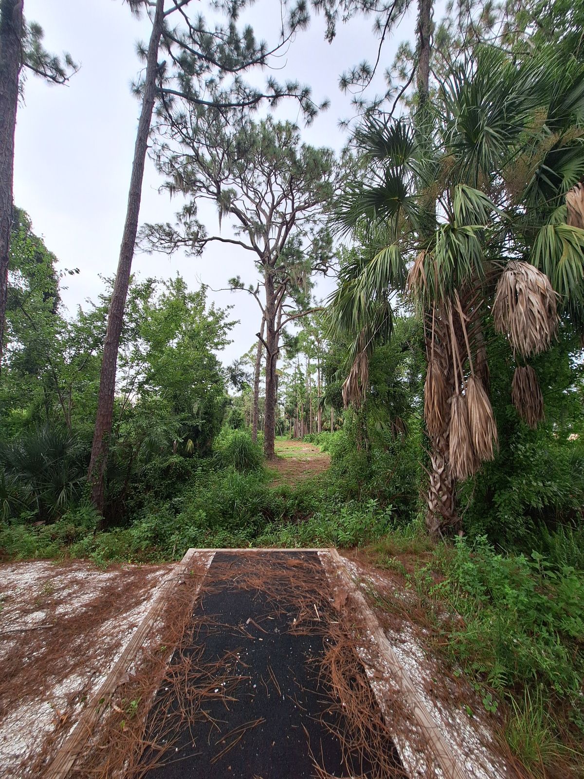 Hole 3 tee pad