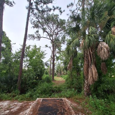 Hole 3 tee pad