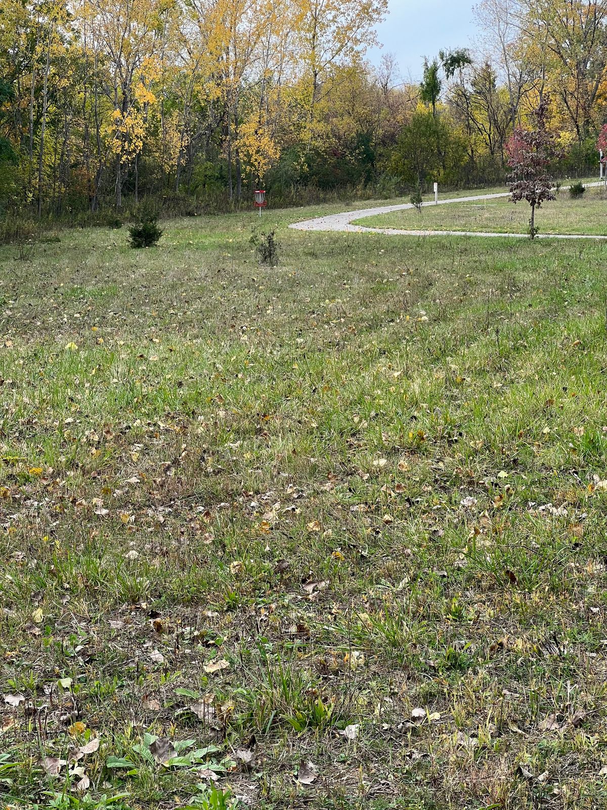 Tee 2. Basket is straight ahead along the tree line.