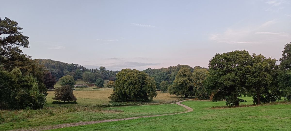 View from Par 5 looking over the deer park