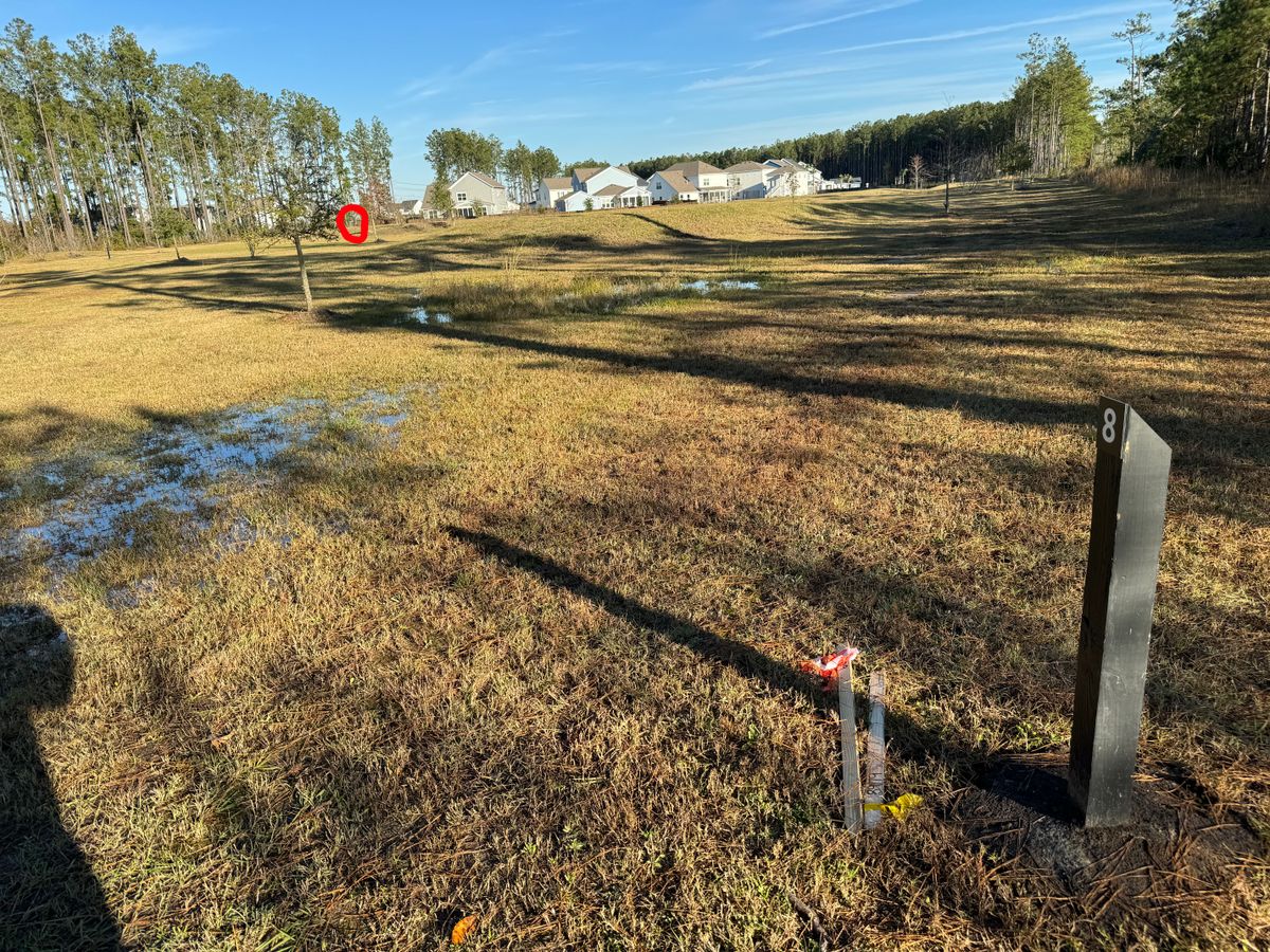 #8 fairway