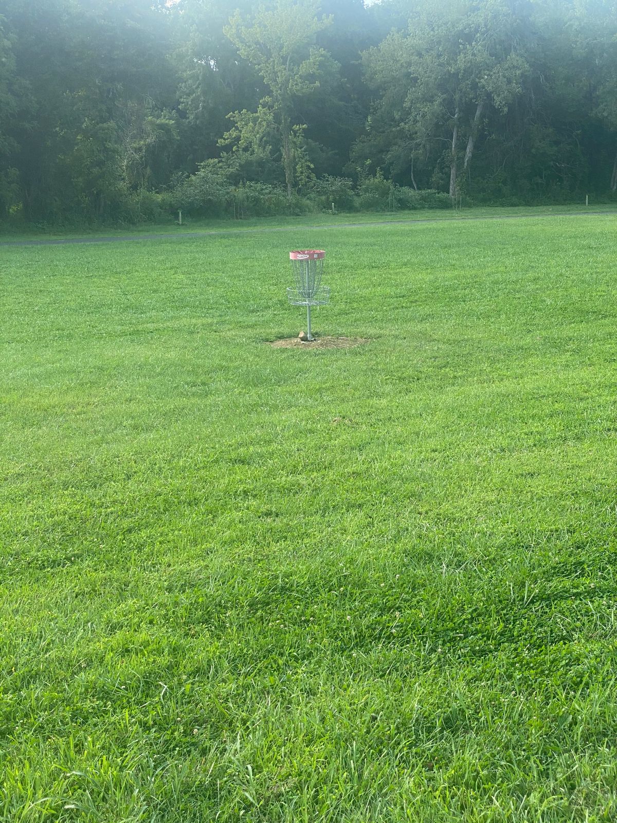 Hole 13 basket