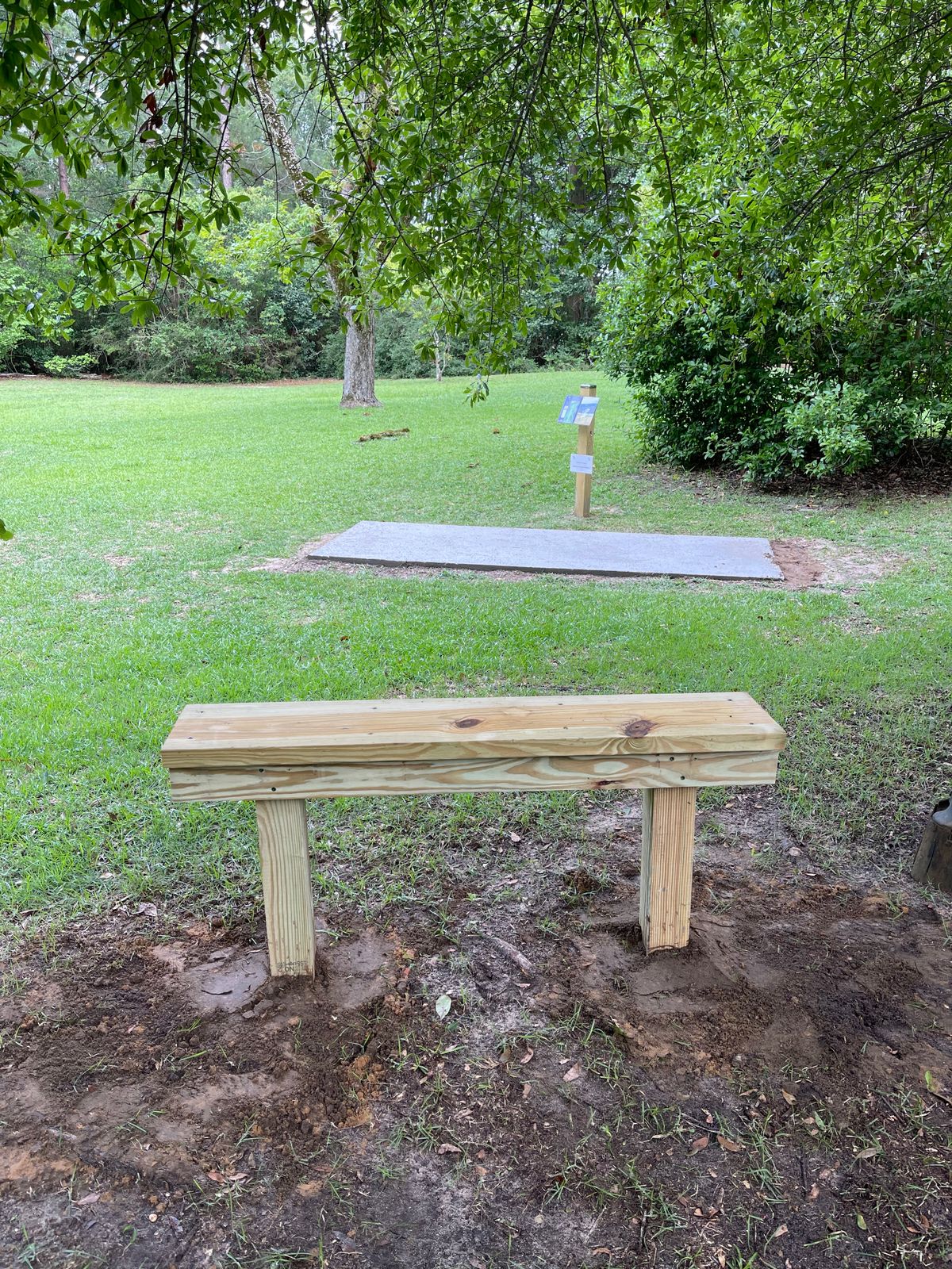New Bench on Hole 10