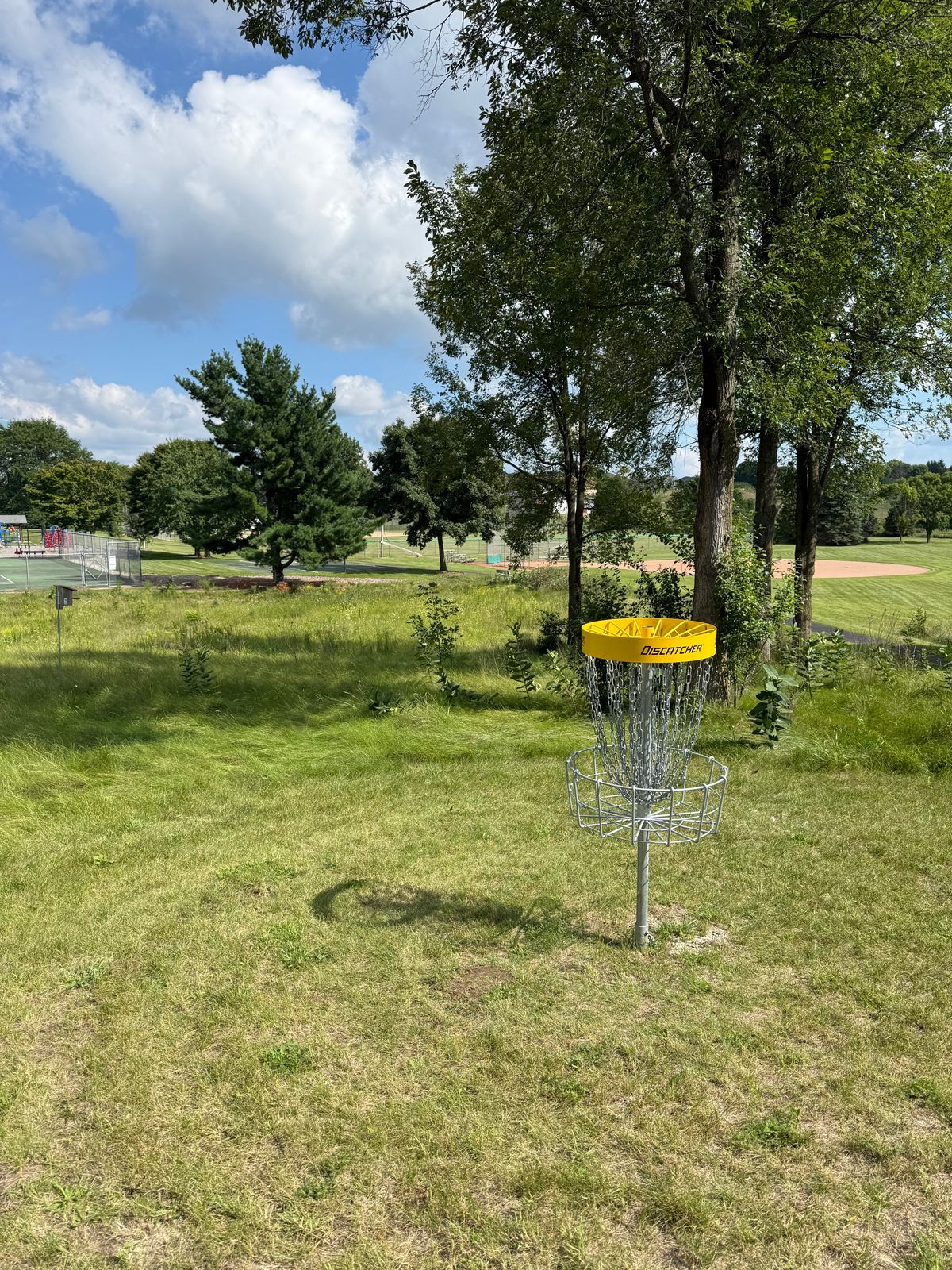 Hole 1 basket looking downhill toward tee area
