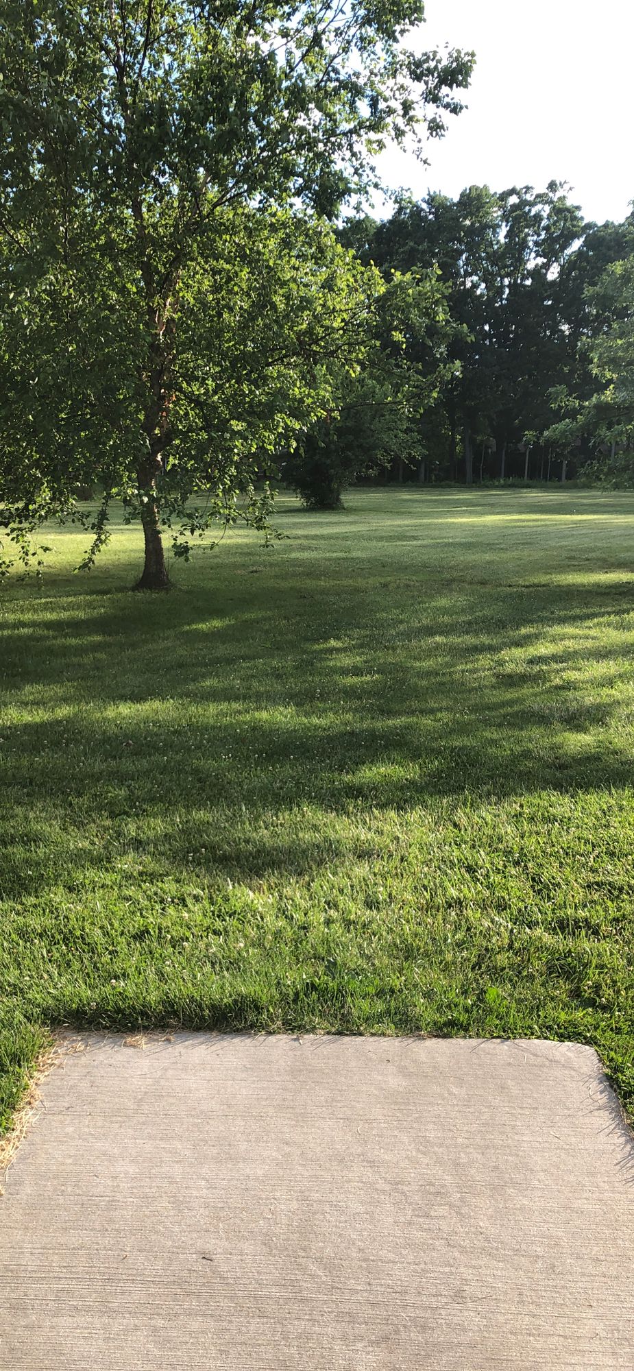 Hole 8