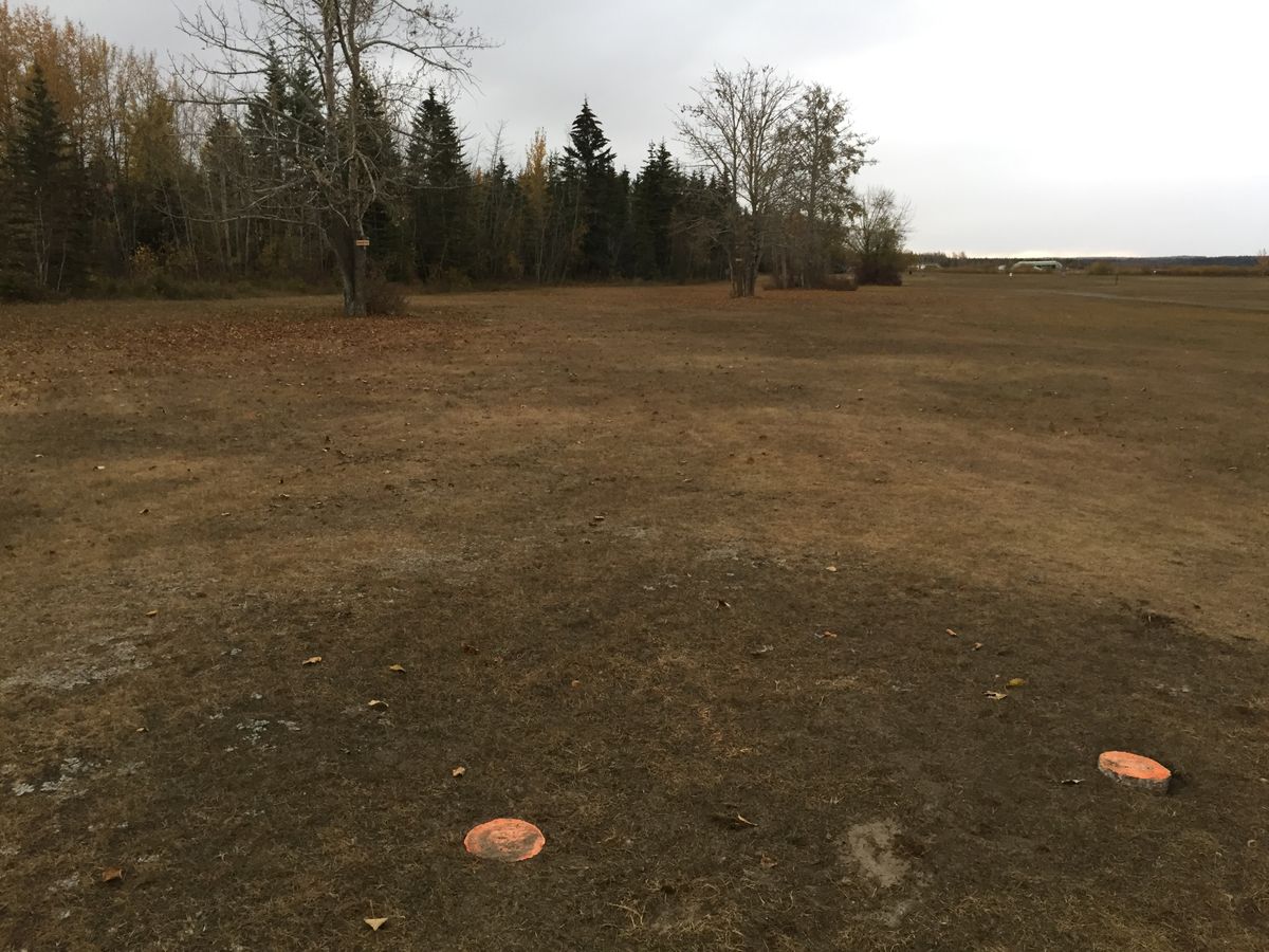 16: tee pad
