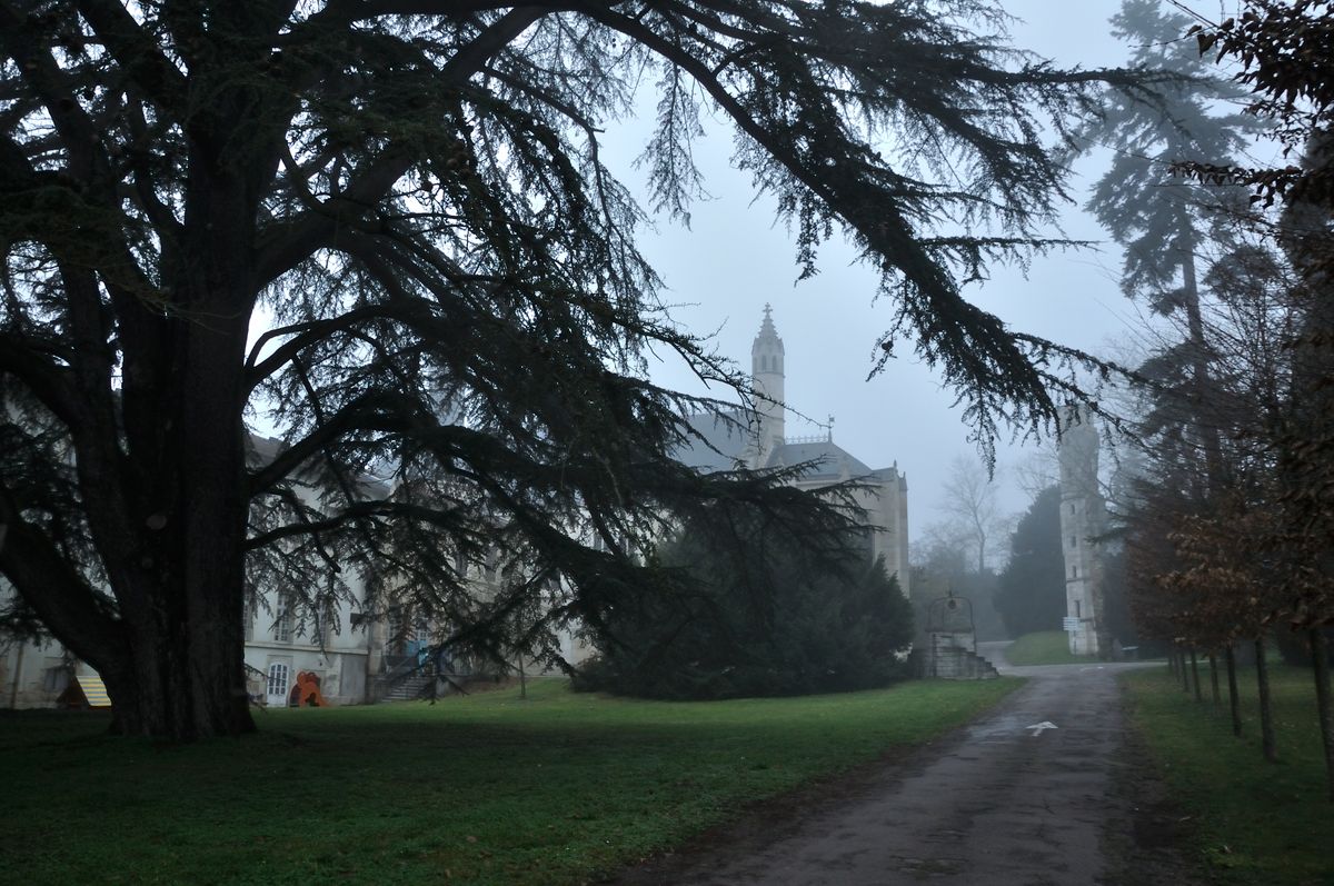 Vue sur la Chapelle de La Chartreuse de Champmol