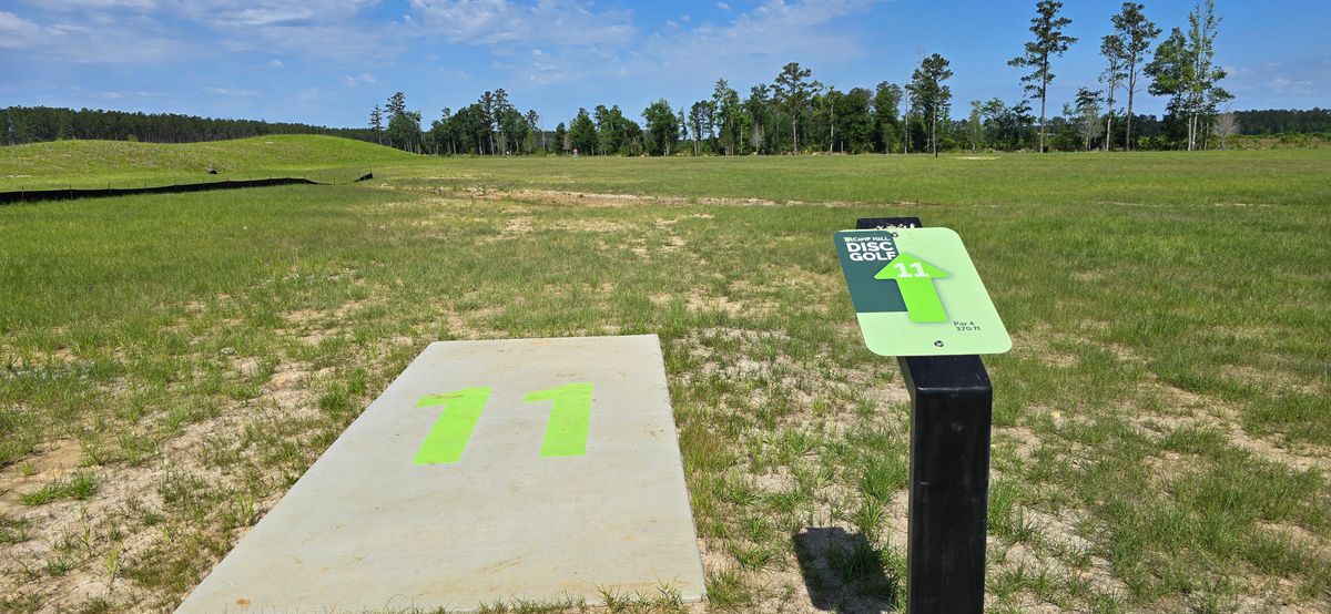 Hole 11
