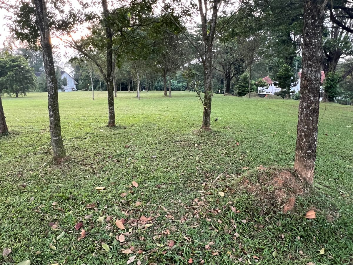 The tee for Hole 17 with a view of the tight double mando 40-50m off the tee.