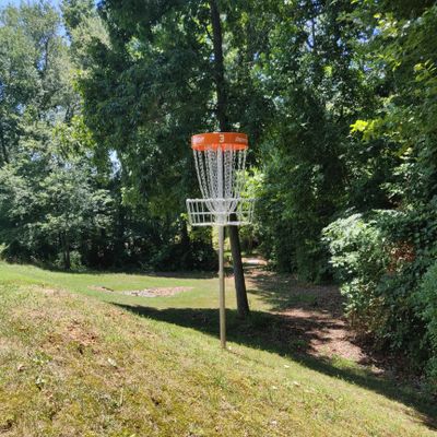 Hole 3 basket looking back toward the tee pad.