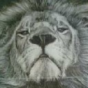 miwok83