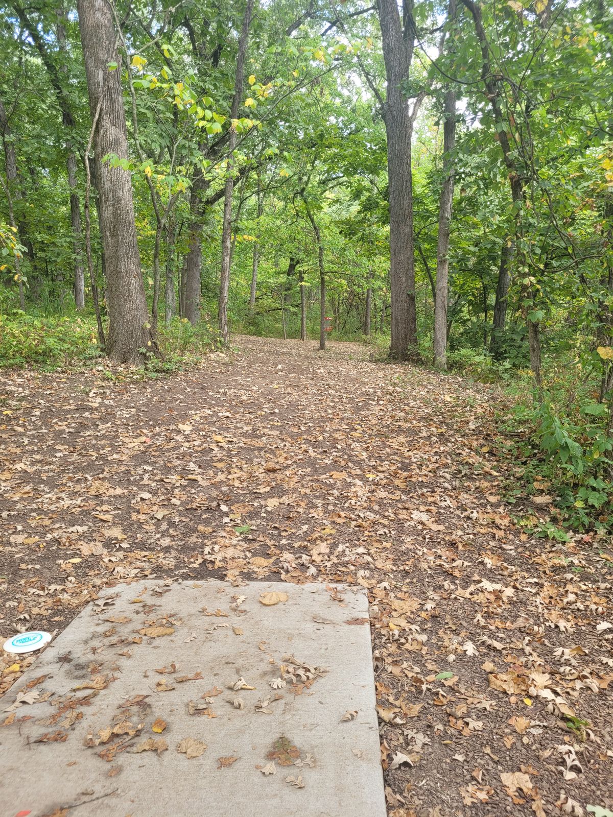 Hole 3 - small tree perfectly in middle of fairway
