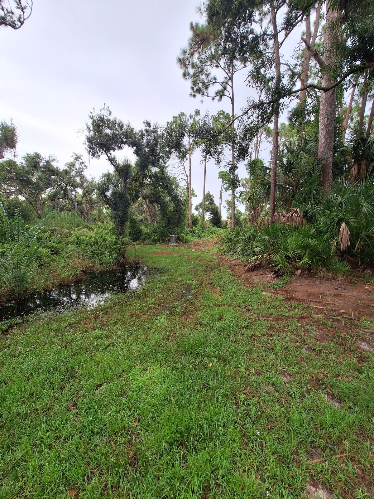 Hole 3 pin location