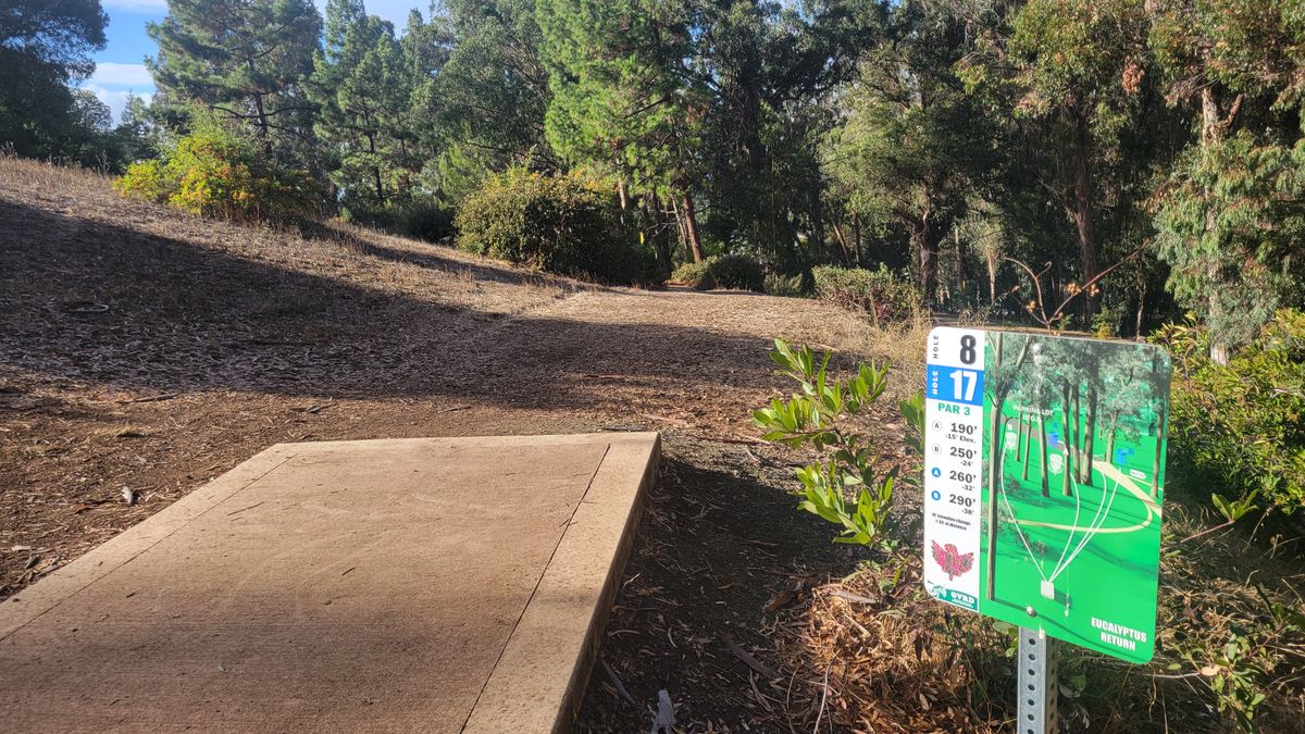 8 fairly basic, 17 down the right side along path