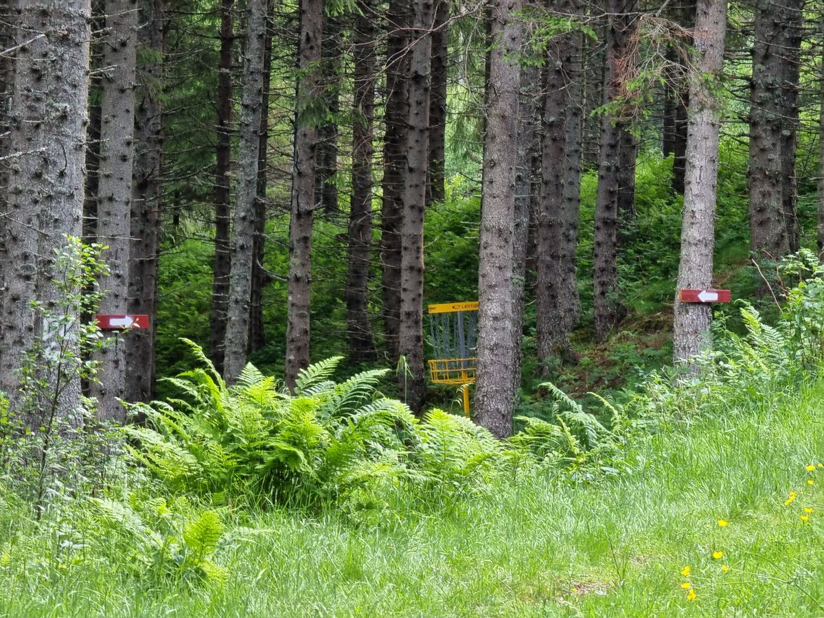 Kurv hull 7 sett fra teepad.
OBS: Dobbel mando