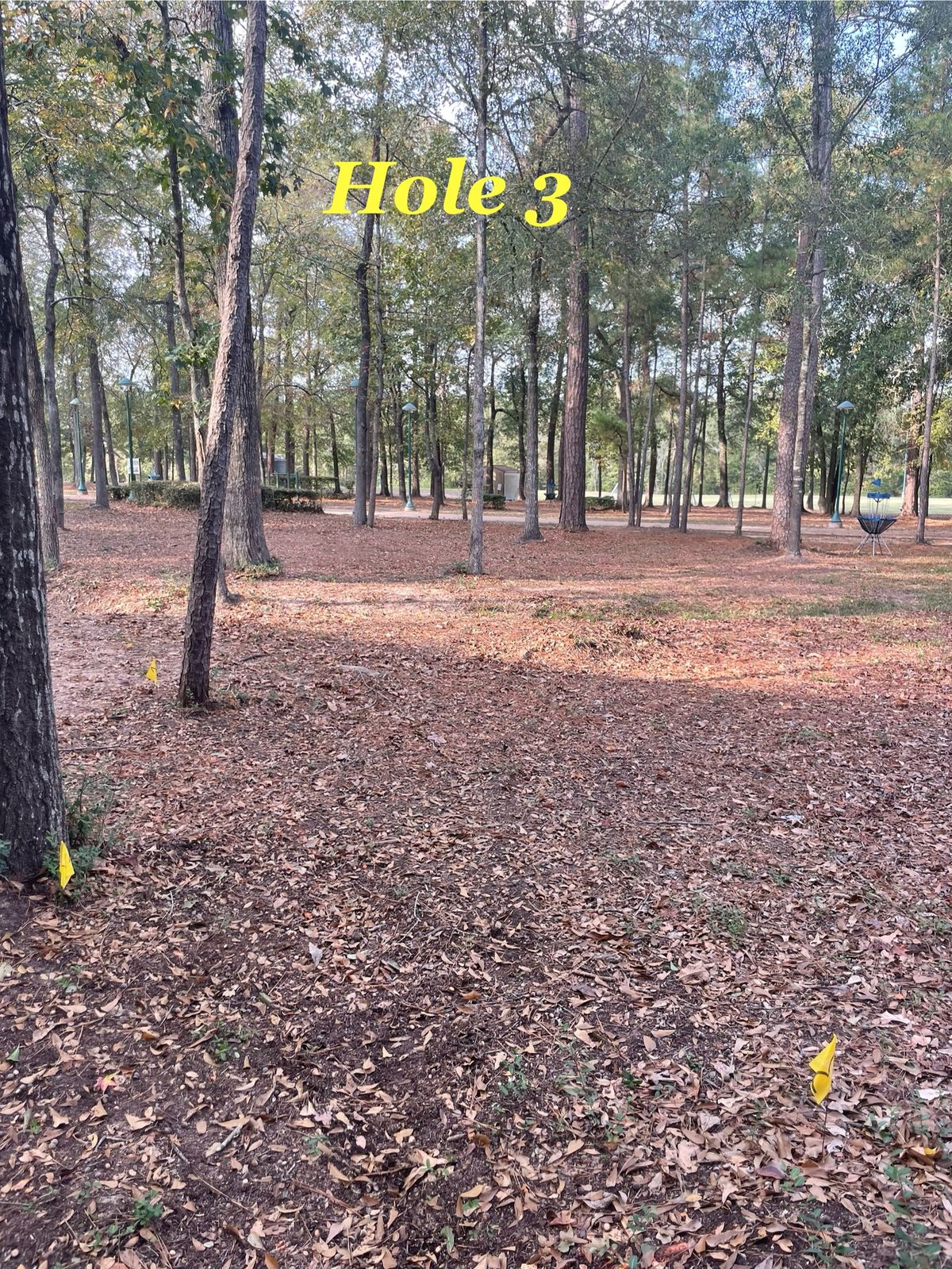 There is orange spray painted trees showing the line you must take.
Mandatory Mando!!