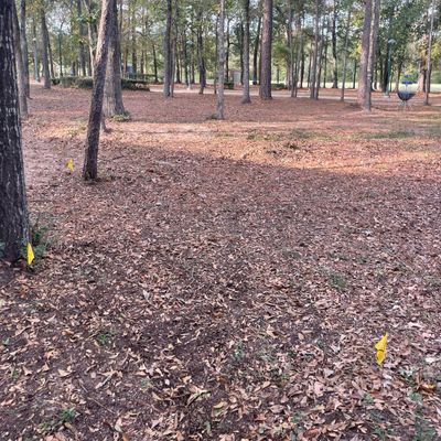 There is orange spray painted trees showing the line you must take.
Mandatory Mando!!