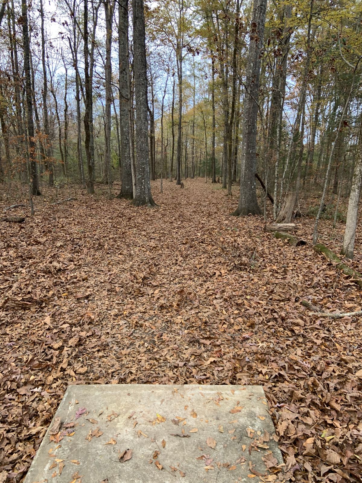 Hole 16