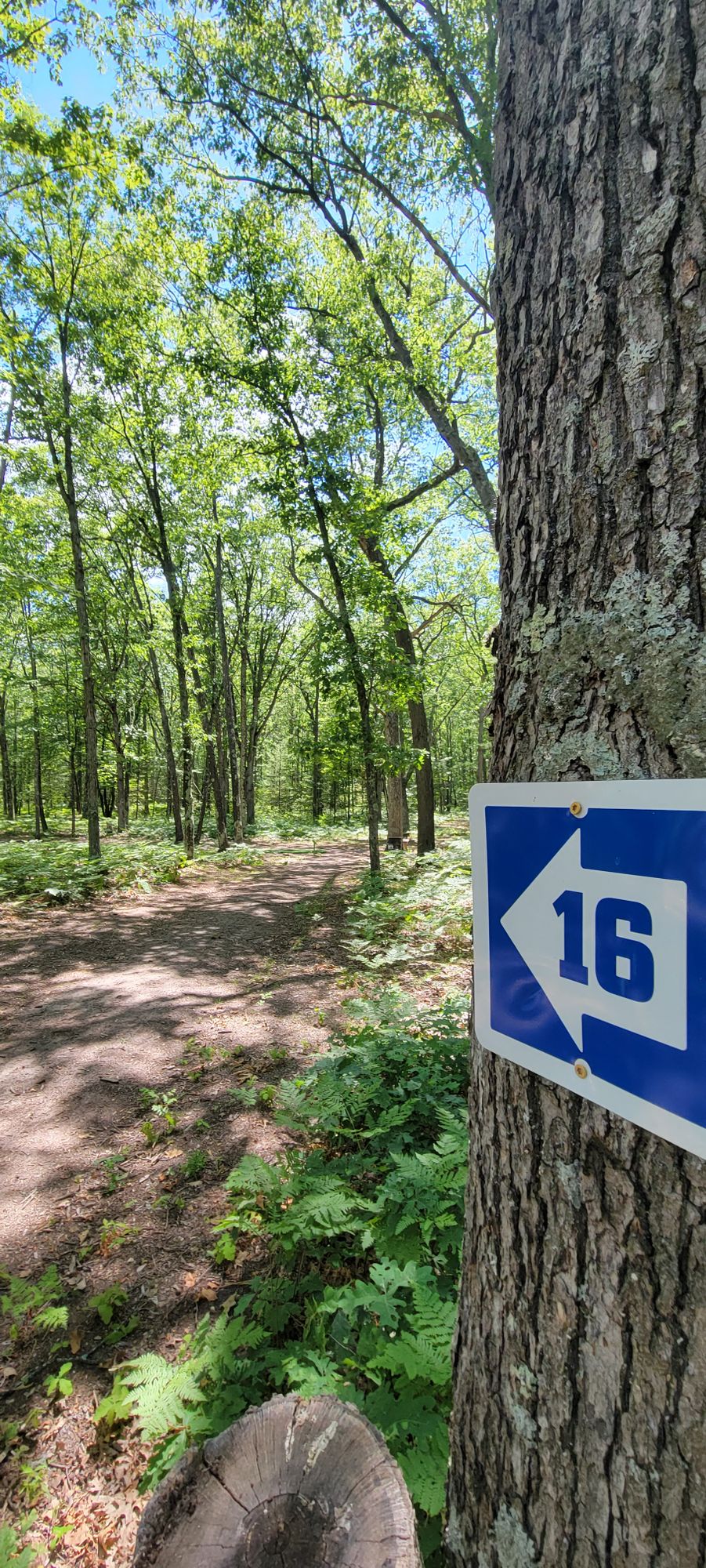 Always arrows telling you where to go next. 👍