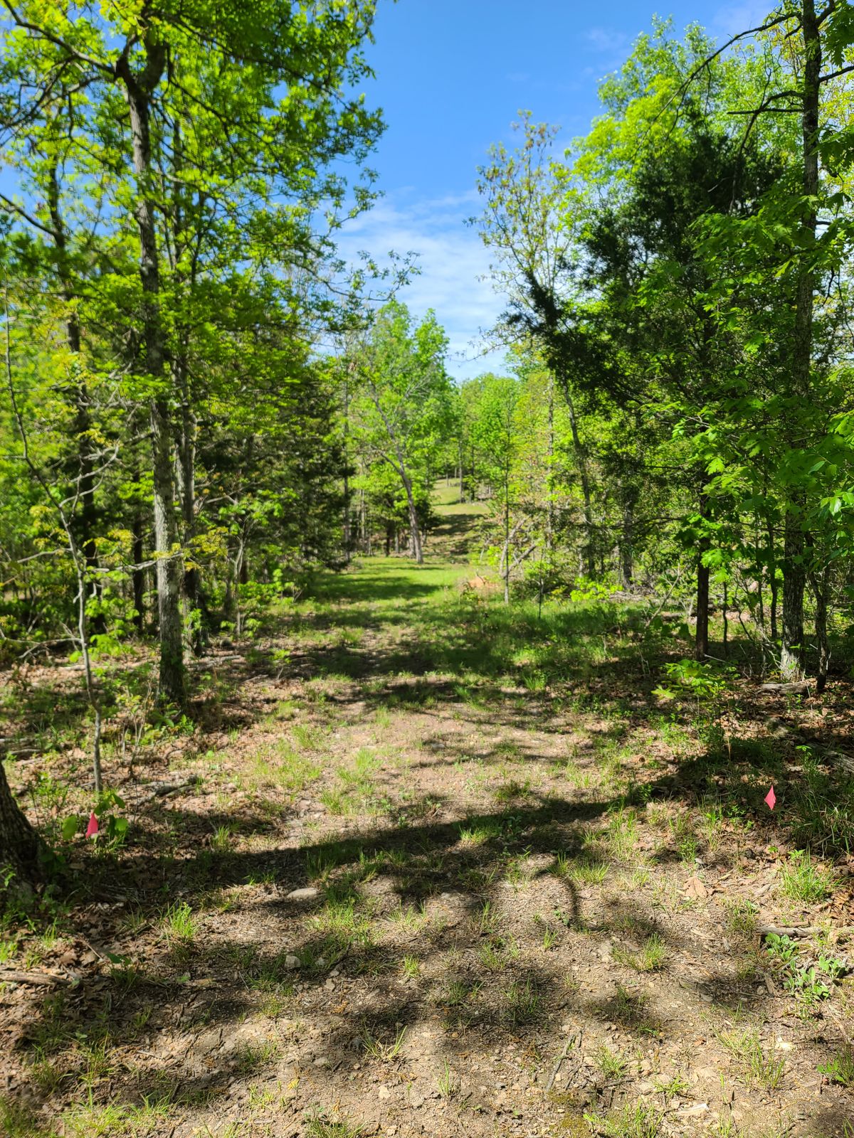 Hole 16 A pad