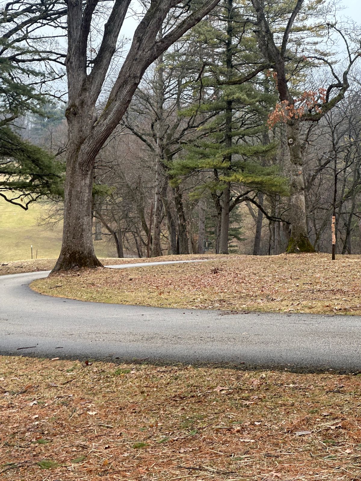 Hole #3 basket