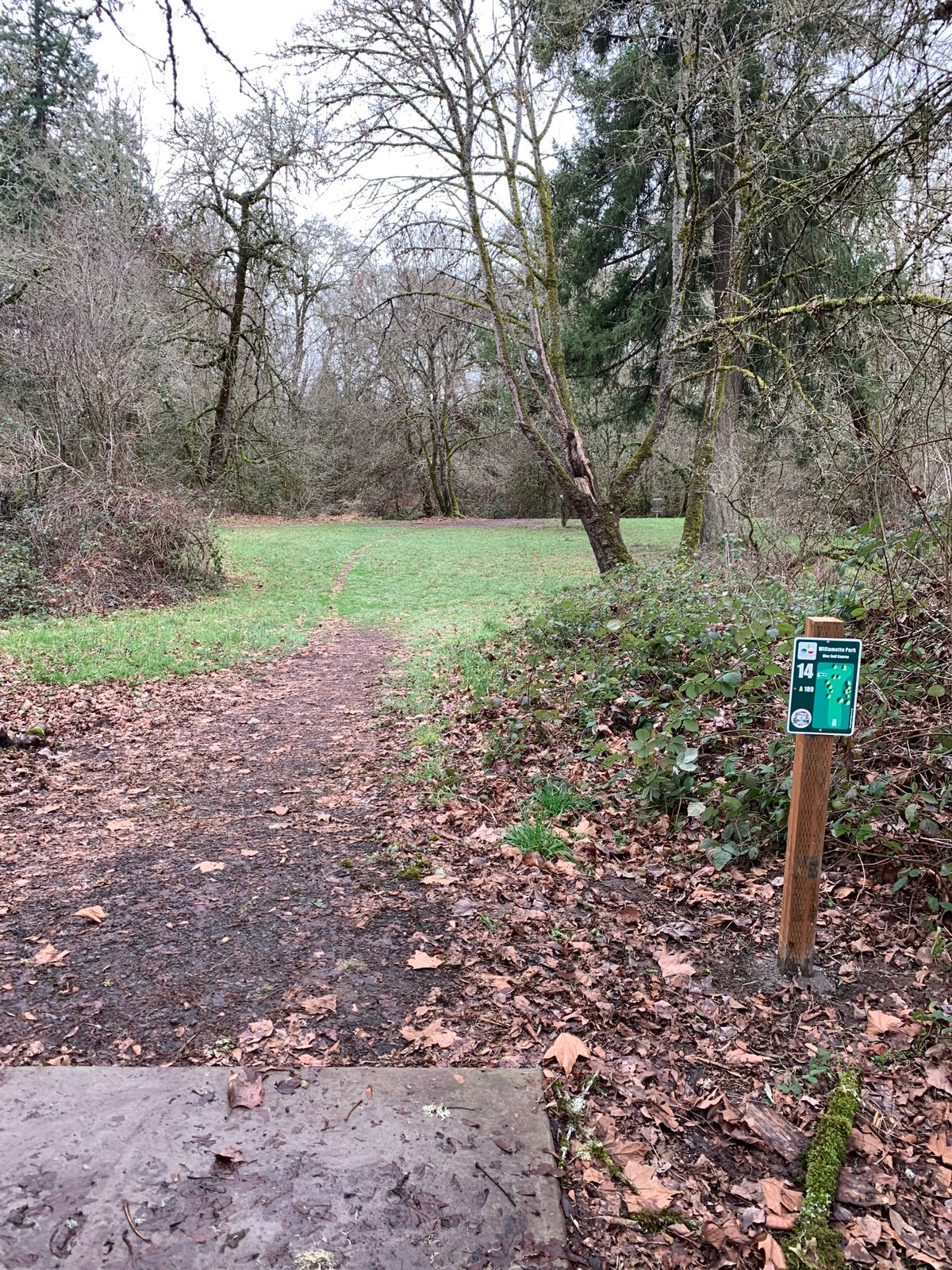 Hole 14