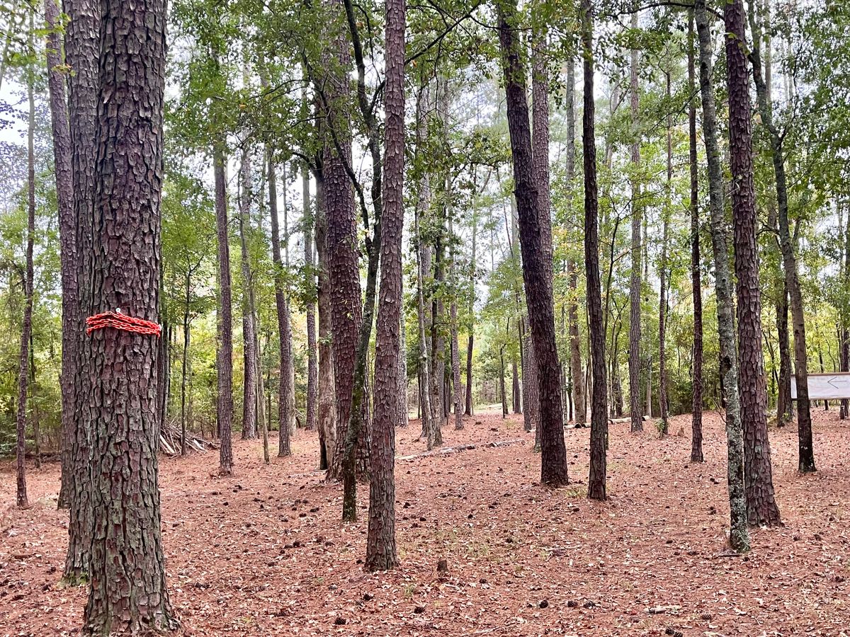 Hole 7 Fairway PT2