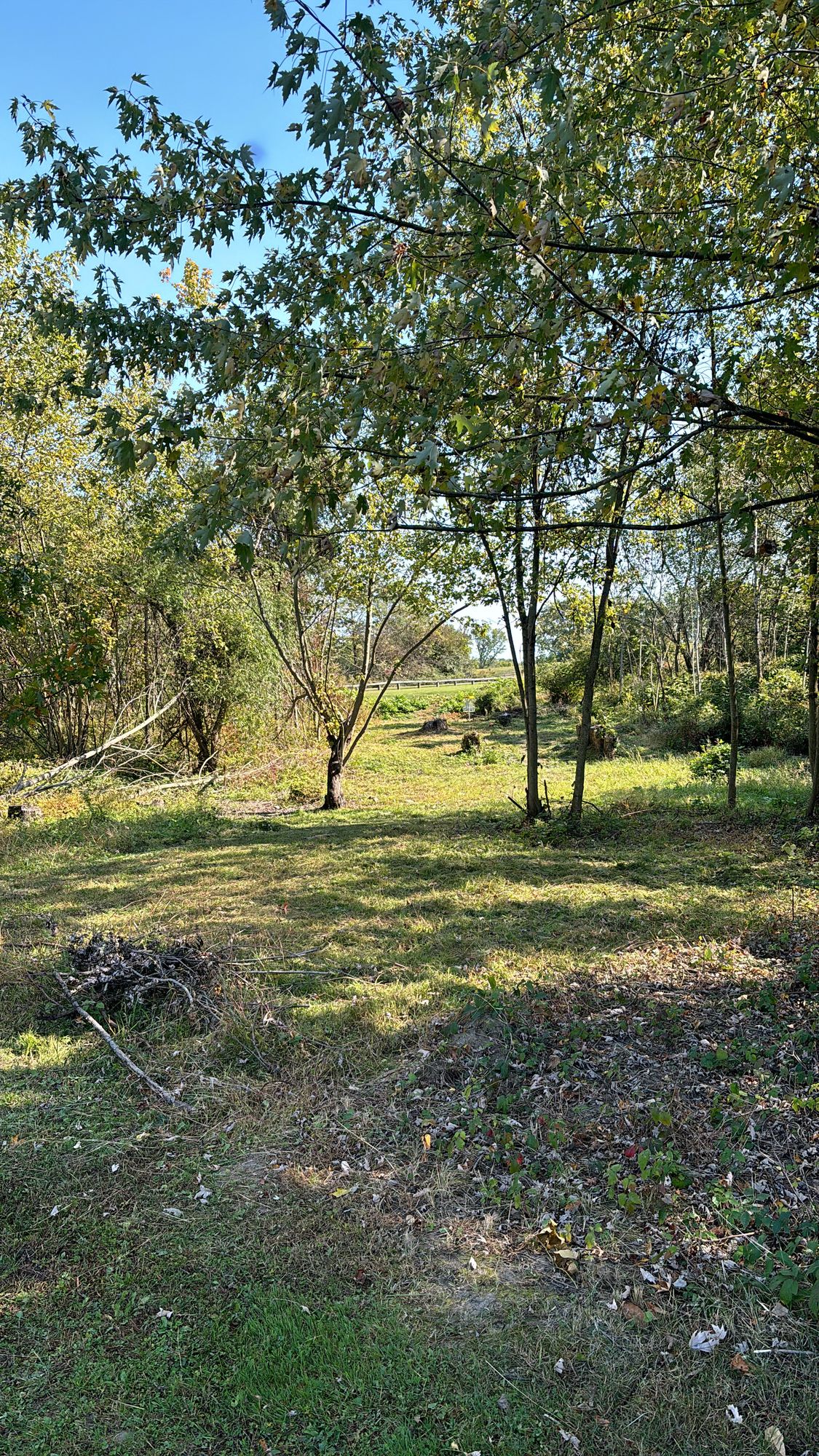 Hole 8