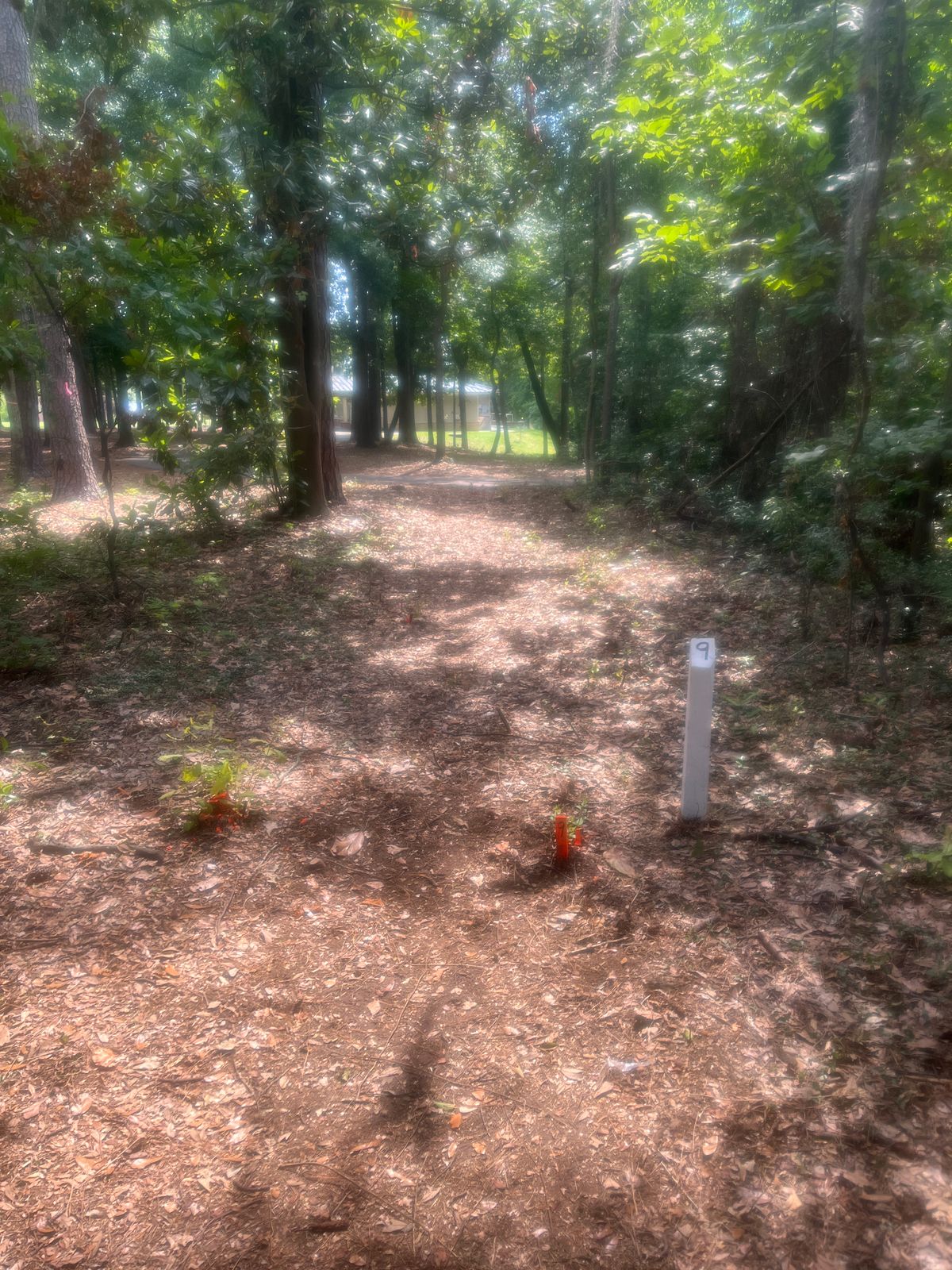 Hole 9 tee