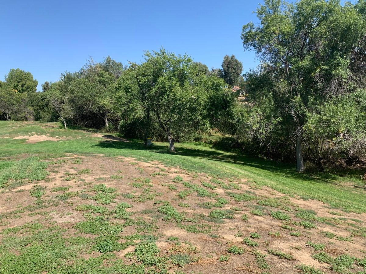 Alpha Hole 1