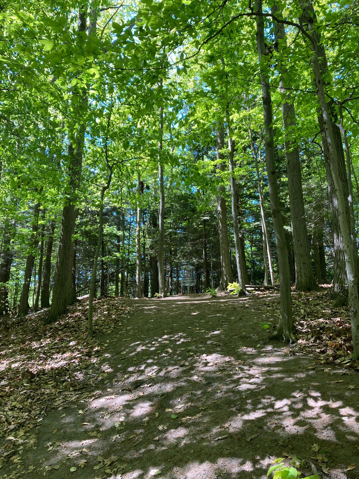 A upward view of hole 2.
