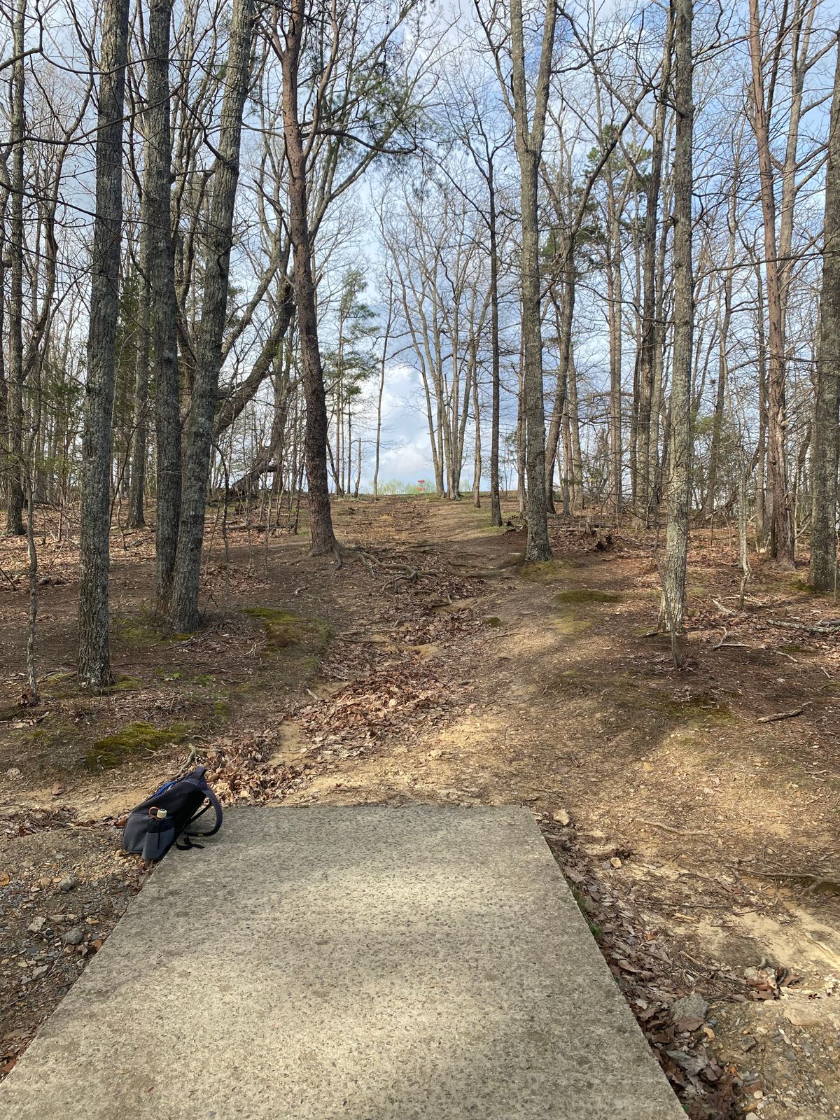 Hole 17, dogleg right for yellow, straight for red.