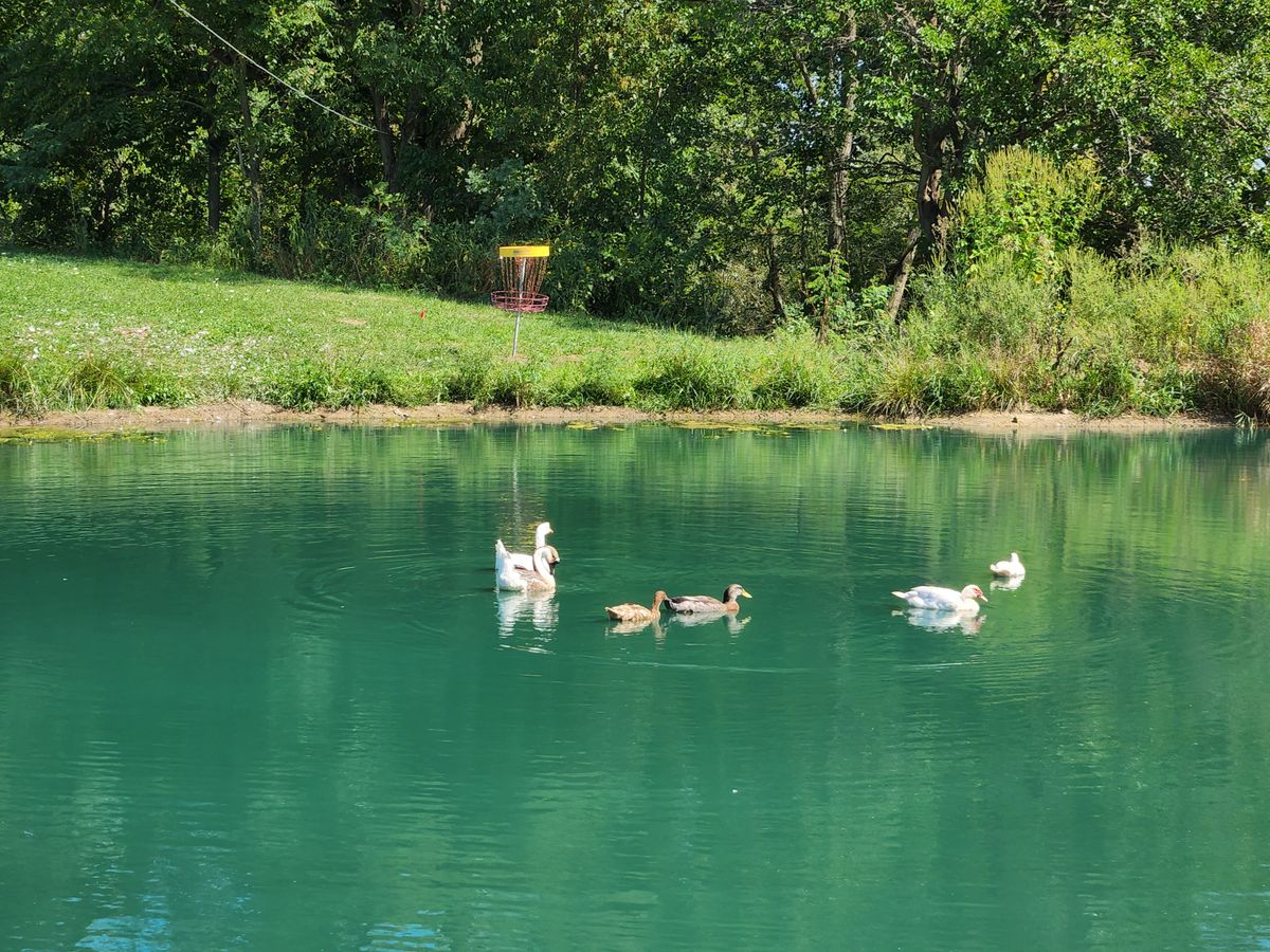 One of two holes over the pond