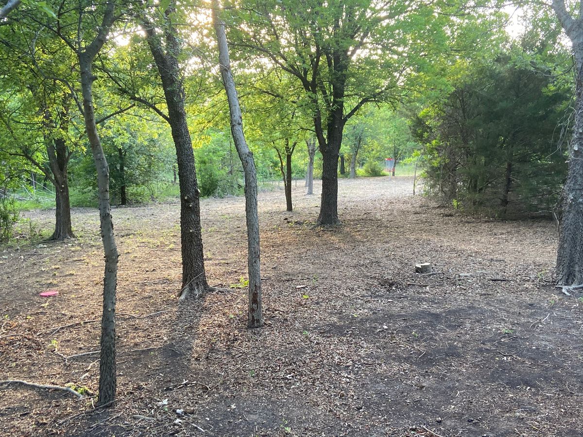 #7 View from dogleg